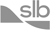 slb-logo_gris_edit